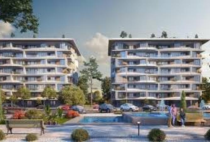 8126413 - Property Image 3