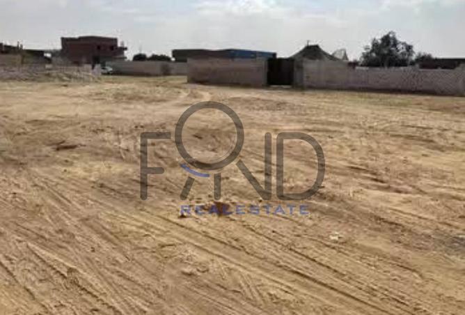 8425698 - Property Image 3