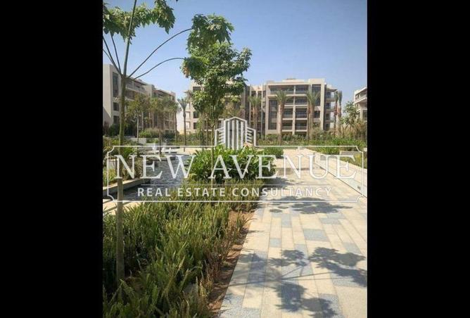8002459 - Property Image 3