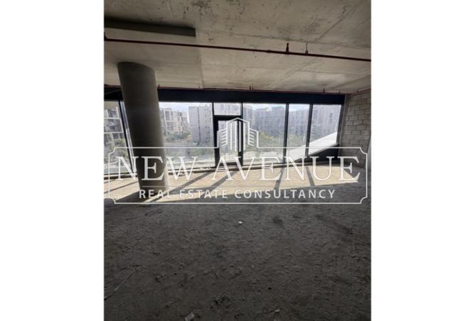 8374821 - Property Image 3