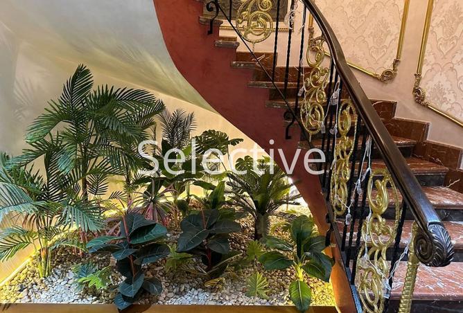 8544250 - صورة العقار 3