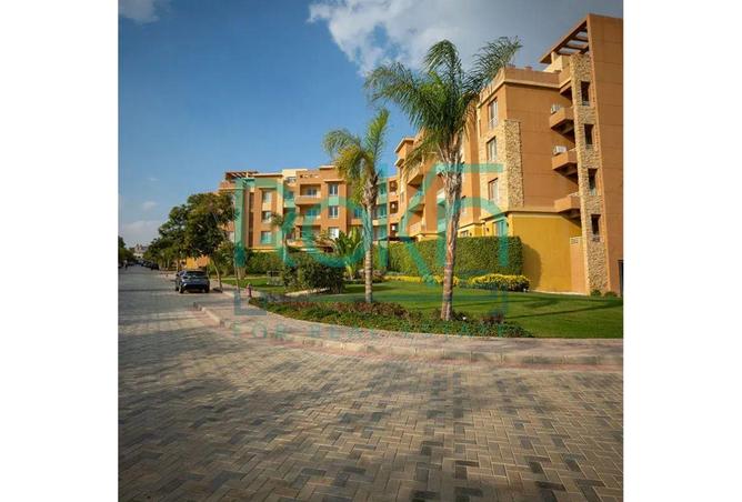 8420859 - Property Image 3