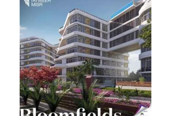 8335157 - Property Main Image