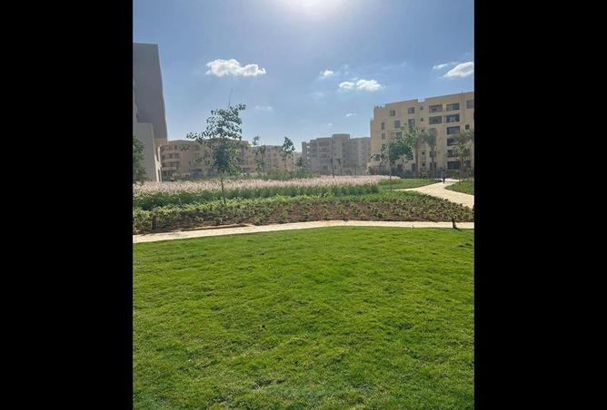 8029578 - Property Image 3