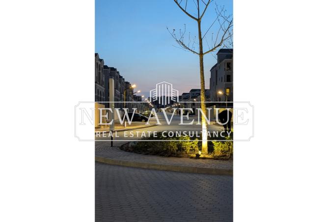 8138177 - Property Image 3