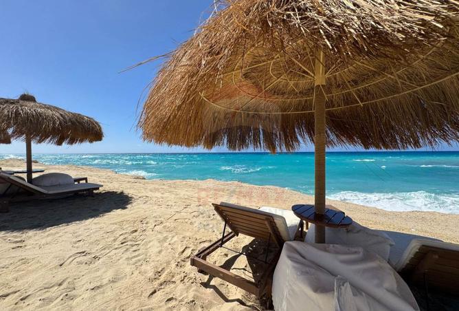 8284730 - Property Image 3