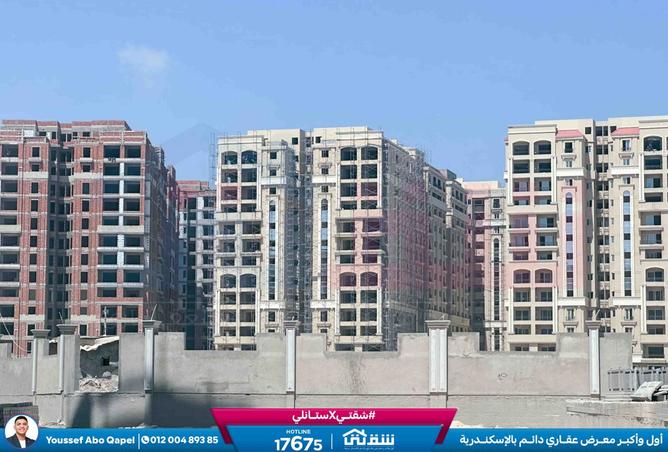 8386054 - Property Image 3