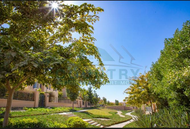 7931281 - Property Image 3