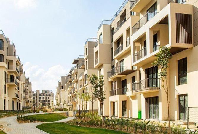 8067096 - Property Image 2