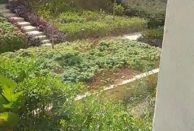 8168282 - صورة العقار 2