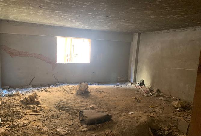 7983929 - Property Image 3