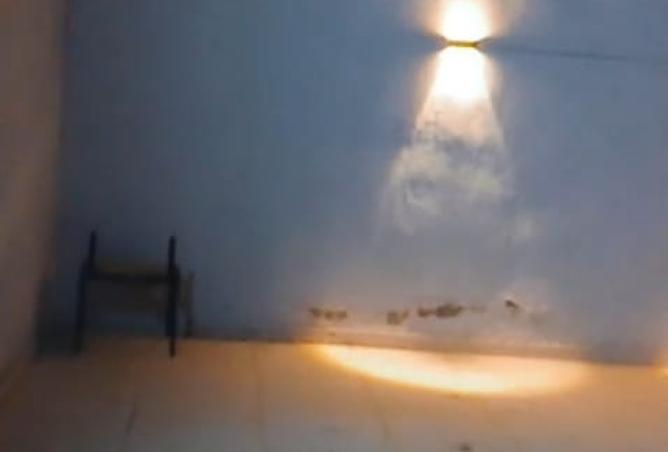 8464615 - صورة العقار 3