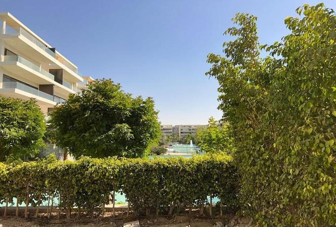 8102938 - صورة العقار 3