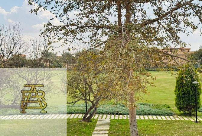 8374489 - صورة العقار 3