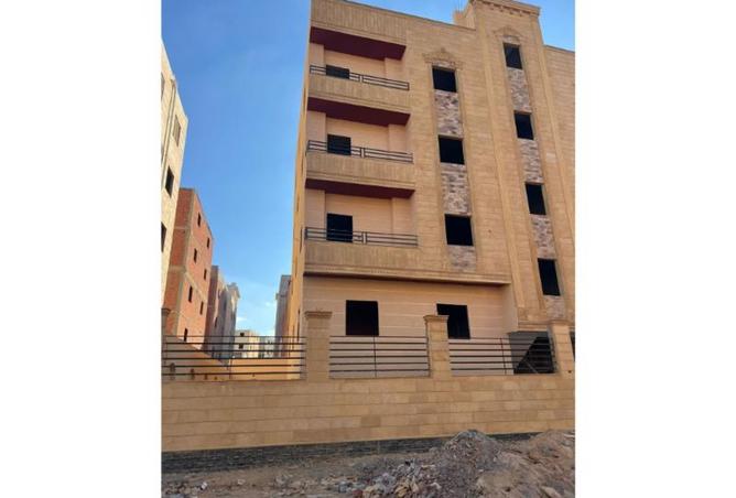 8174699 - Property Image 3