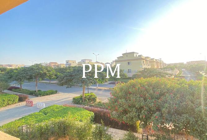 8433491 - Property Image 3