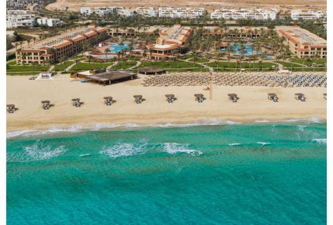 8159180 - Property Image 3