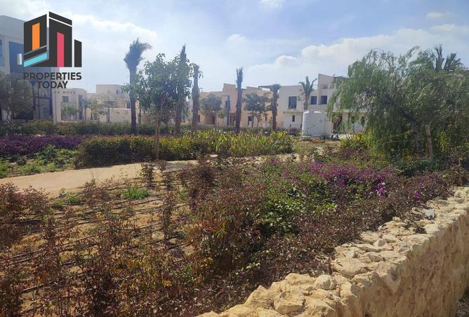 8394260 - صورة العقار 2