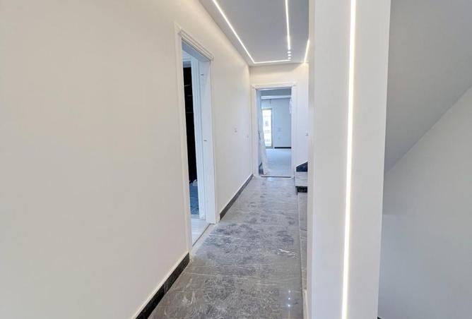 8137851 - صورة العقار 2