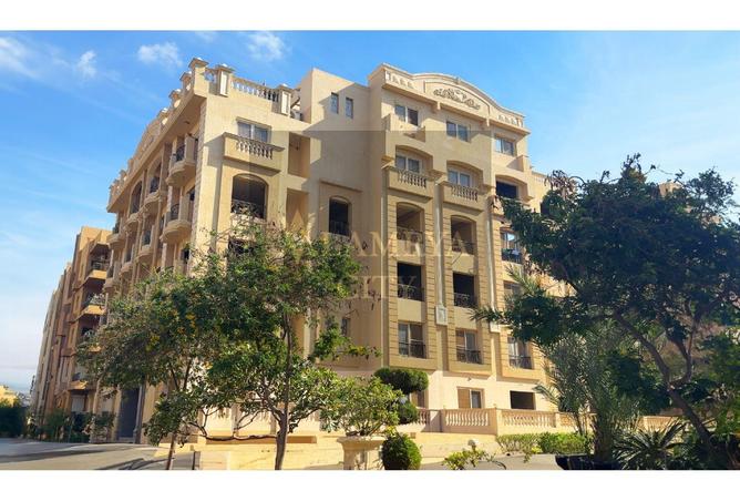 7977784 - صورة العقار 2