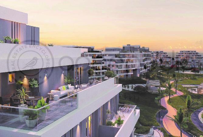 8205583 - Property Image 3