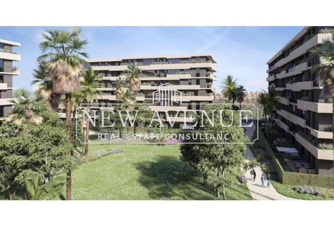 8077009 - Property Image 3