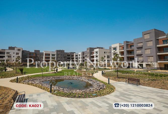 8496671 - Property Image 3