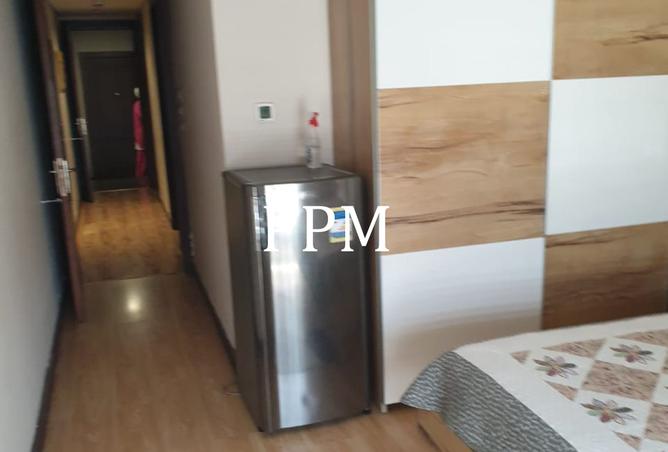 8363829 - Property Image 2