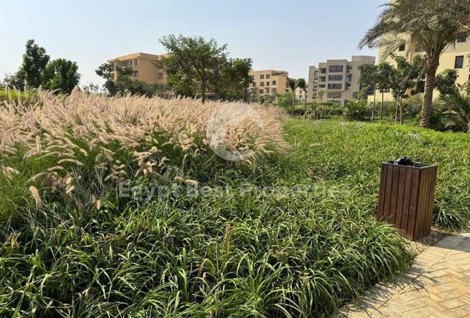 8526731 - صورة العقار 3