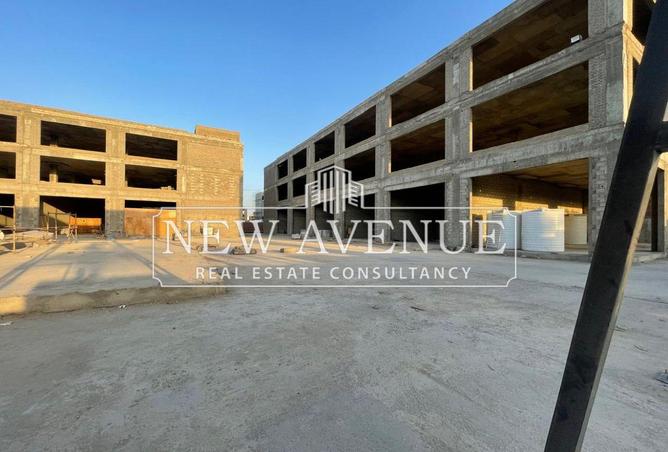 8387884 - Property Image 3