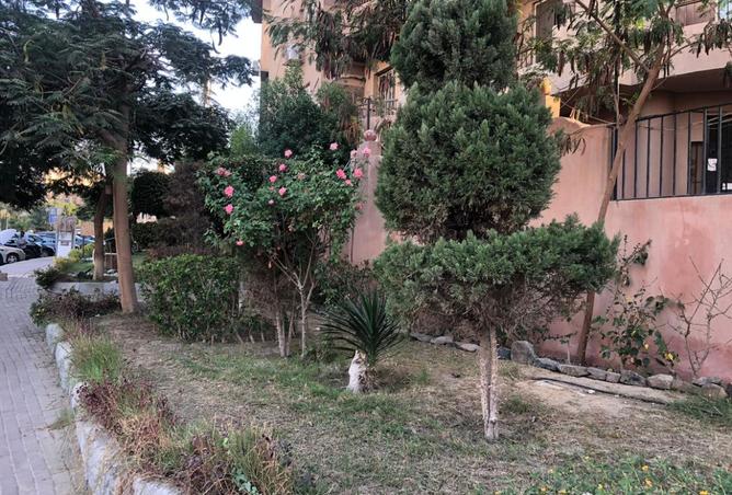 8110759 - Property Image 3