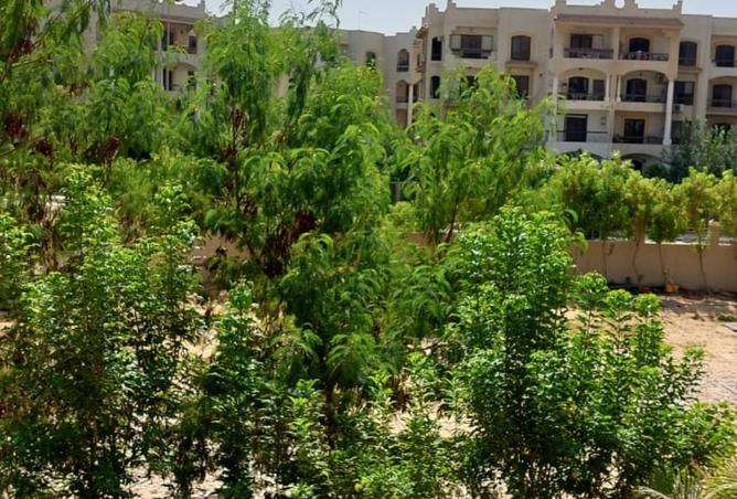 8363480 - صورة العقار 3