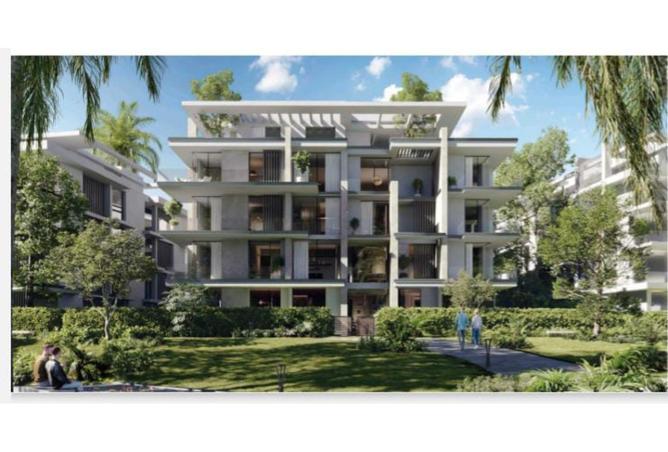 8082333 - Property Image 3