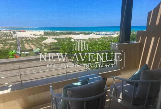 8404834 - Property Image 3