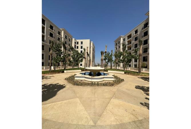 8491538 - Property Image 3