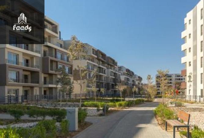 8083795 - Property Image 2