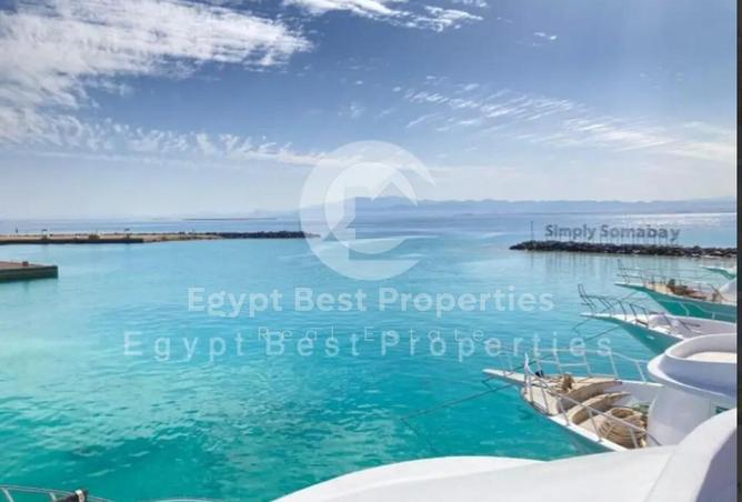 7042817 - صورة العقار 2