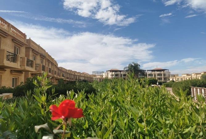 8478227 - صورة العقار 3