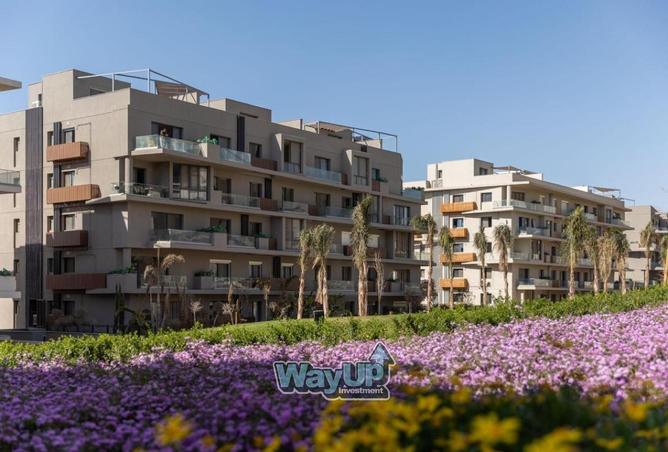 8434069 - Property Image 3