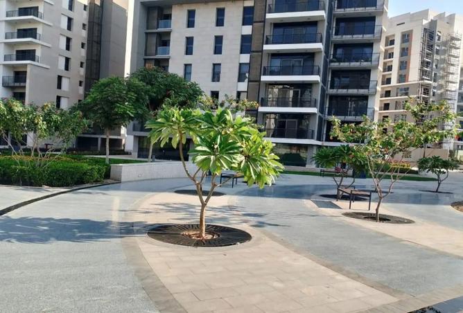 8248384 - صورة العقار 3