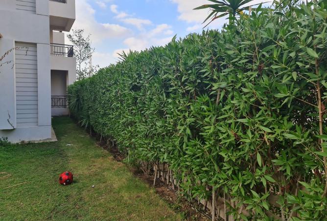 8171169 - Property Image 3