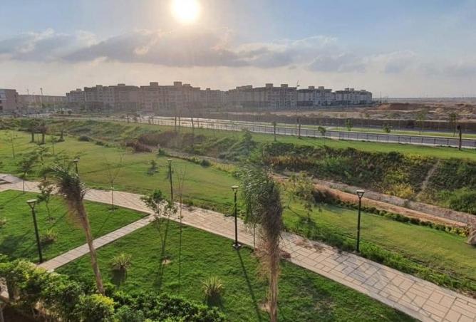 8304781 - صورة العقار 2