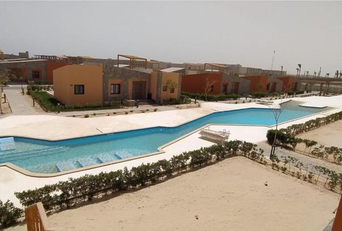 8470408 - Property Image 3