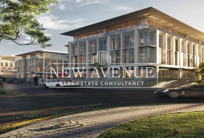 8243798 - Property Image 3