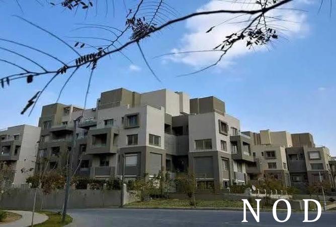 7715777 - Property Image 2