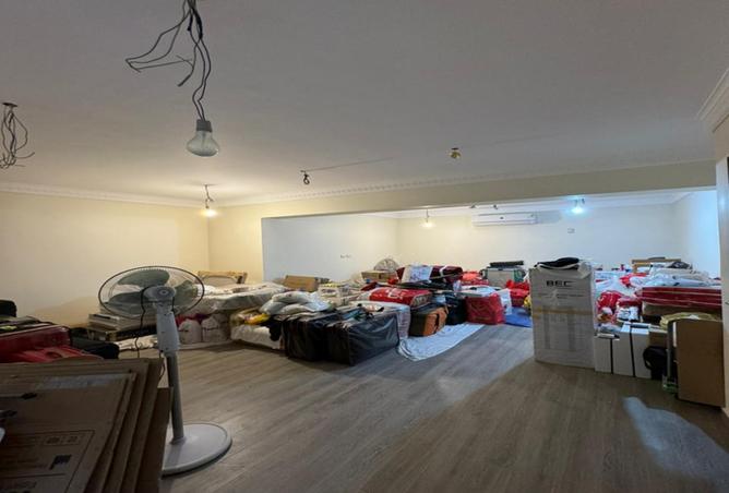 8136331 - Property Image 3