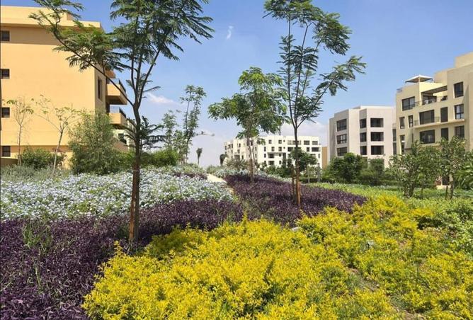 8407392 - الصورة الرئيسية للعقار