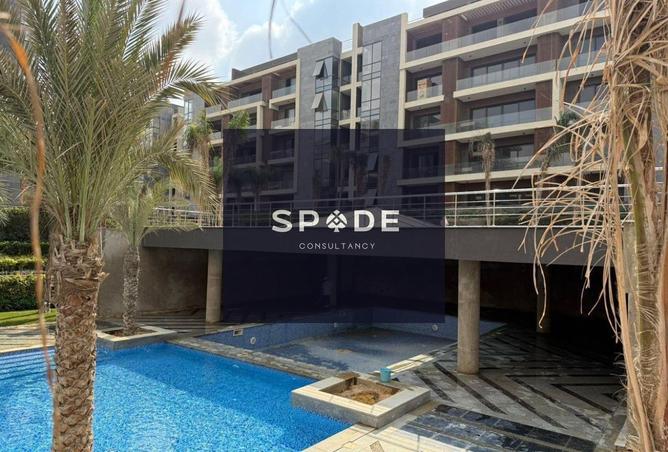 8302293 - Property Image 3