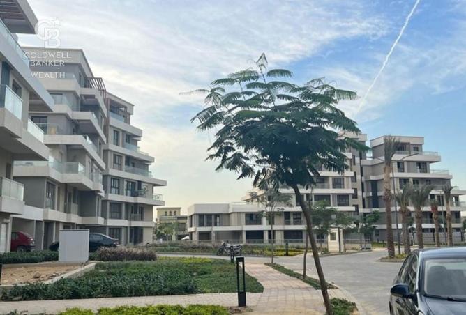 8248527 - Property Image 3