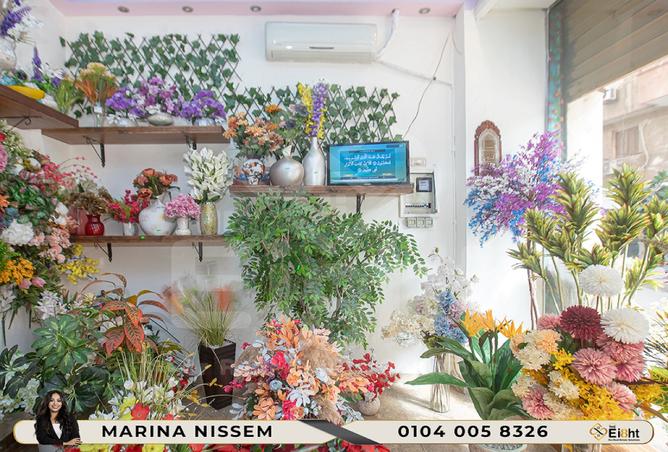 8235278 - Property Main Image